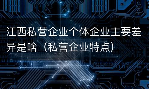 江西私营企业个体企业主要差异是啥（私营企业特点）