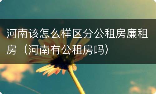 河南该怎么样区分公租房廉租房（河南有公租房吗）