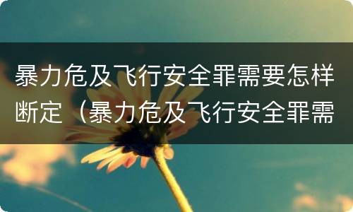 暴力危及飞行安全罪需要怎样断定（暴力危及飞行安全罪需要怎样断定责任）