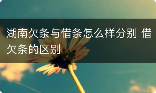 湖南欠条与借条怎么样分别 借欠条的区别