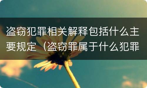 盗窃犯罪相关解释包括什么主要规定（盗窃罪属于什么犯罪行为）