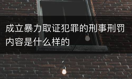 成立暴力取证犯罪的刑事刑罚内容是什么样的