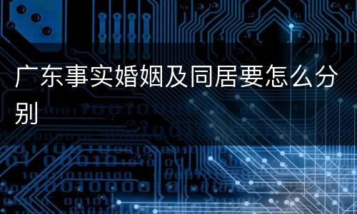 广东事实婚姻及同居要怎么分别