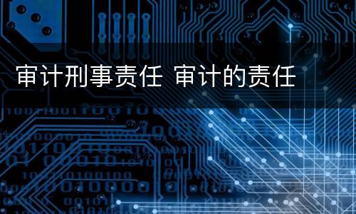 审计刑事责任 审计的责任