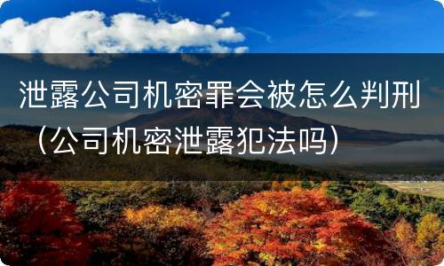 泄露公司机密罪会被怎么判刑（公司机密泄露犯法吗）