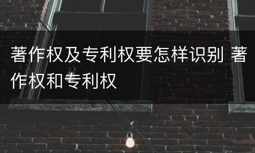 著作权及专利权要怎样识别 著作权和专利权