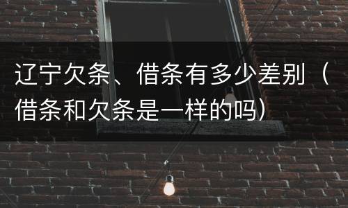 辽宁欠条、借条有多少差别（借条和欠条是一样的吗）