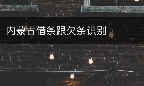 内蒙古借条跟欠条识别