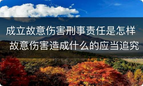 成立故意伤害刑事责任是怎样 故意伤害造成什么的应当追究刑事责任