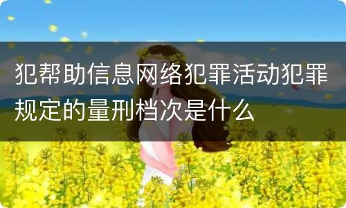 犯帮助信息网络犯罪活动犯罪规定的量刑档次是什么