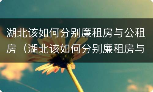 湖北该如何分别廉租房与公租房（湖北该如何分别廉租房与公租房的区别）