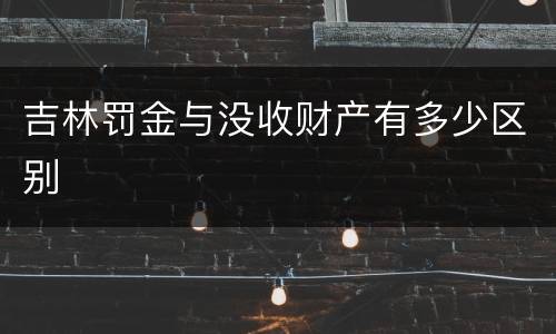 吉林罚金与没收财产有多少区别