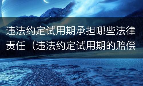 违法约定试用期承担哪些法律责任（违法约定试用期的赔偿责任）
