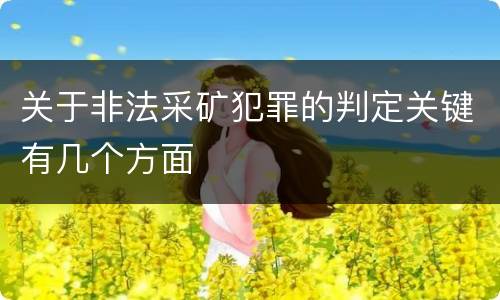 关于非法采矿犯罪的判定关键有几个方面