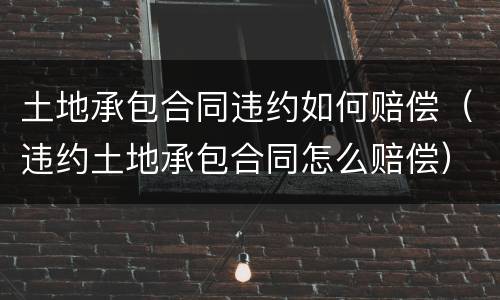 土地承包合同违约如何赔偿（违约土地承包合同怎么赔偿）