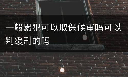 一般累犯可以取保候审吗可以判缓刑的吗