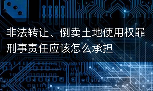 非法转让、倒卖土地使用权罪刑事责任应该怎么承担