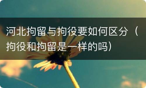 河北拘留与拘役要如何区分（拘役和拘留是一样的吗）