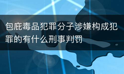包庇毒品犯罪分子涉嫌构成犯罪的有什么刑事判罚