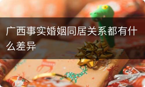 广西事实婚姻同居关系都有什么差异