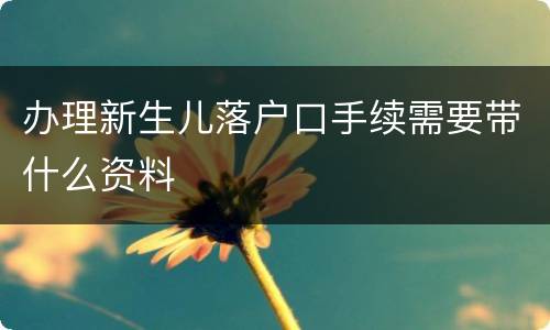办理新生儿落户口手续需要带什么资料