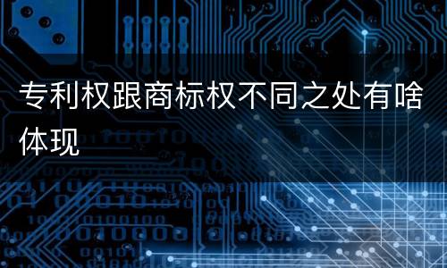 专利权跟商标权不同之处有啥体现