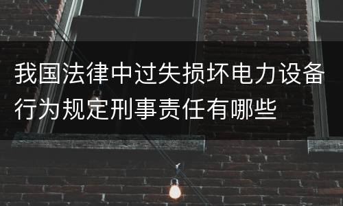 我国法律中过失损坏电力设备行为规定刑事责任有哪些