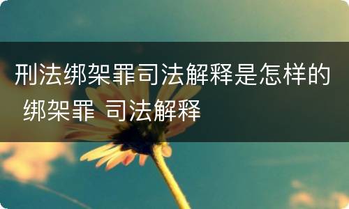 刑法绑架罪司法解释是怎样的 绑架罪 司法解释