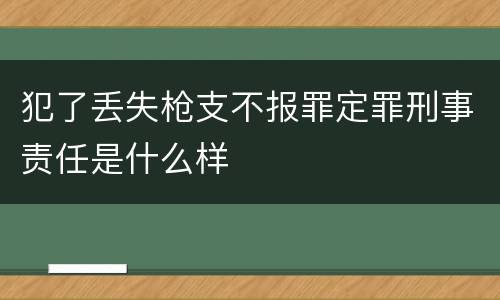 犯了丢失枪支不报罪定罪刑事责任是什么样