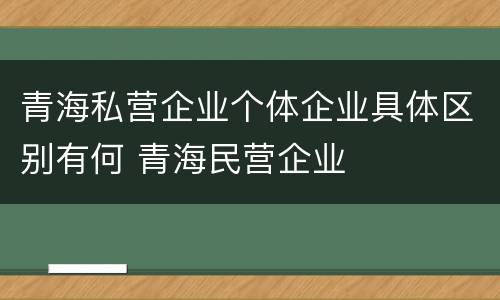 青海私营企业个体企业具体区别有何 青海民营企业