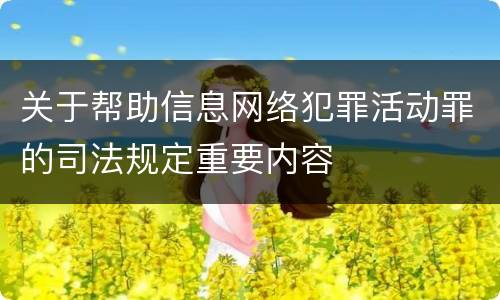关于帮助信息网络犯罪活动罪的司法规定重要内容