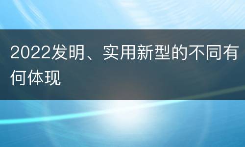 2022发明、实用新型的不同有何体现