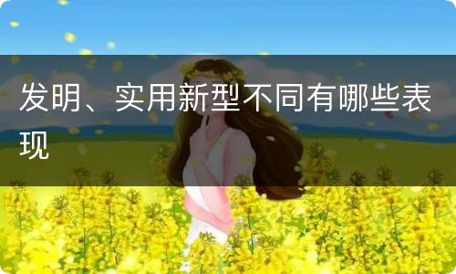 发明、实用新型不同有哪些表现