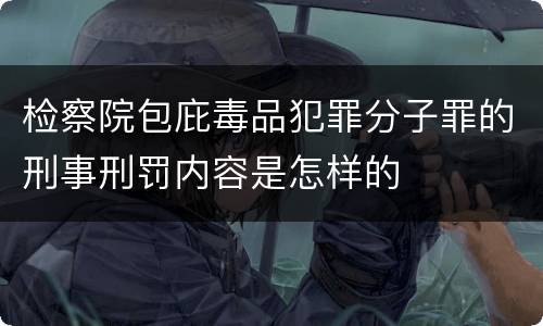 检察院包庇毒品犯罪分子罪的刑事刑罚内容是怎样的