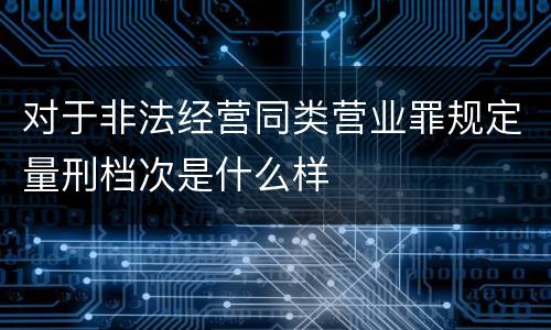 对于非法经营同类营业罪规定量刑档次是什么样