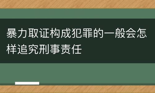 暴力取证构成犯罪的一般会怎样追究刑事责任