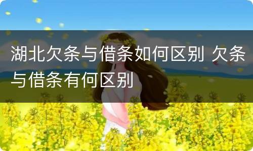 湖北欠条与借条如何区别 欠条与借条有何区别