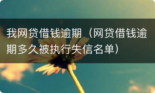 我网贷借钱逾期（网贷借钱逾期多久被执行失信名单）