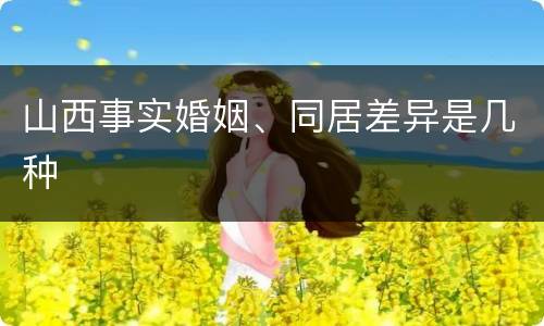 山西事实婚姻、同居差异是几种