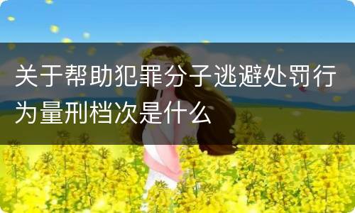 关于帮助犯罪分子逃避处罚行为量刑档次是什么