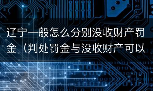辽宁一般怎么分别没收财产罚金（判处罚金与没收财产可以并罚吗）