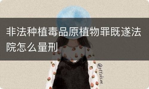 非法种植毒品原植物罪既遂法院怎么量刑