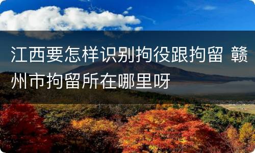 江西要怎样识别拘役跟拘留 赣州市拘留所在哪里呀