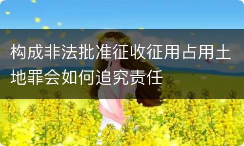 构成非法批准征收征用占用土地罪会如何追究责任