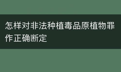 怎样对非法种植毒品原植物罪作正确断定