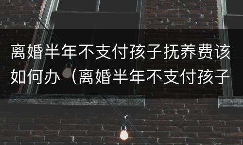 离婚半年不支付孩子抚养费该如何办（离婚半年不支付孩子抚养费该如何办理）