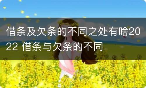 借条及欠条的不同之处有啥2022 借条与欠条的不同