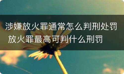 涉嫌放火罪通常怎么判刑处罚 放火罪最高可判什么刑罚