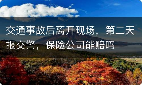 交通事故后离开现场，第二天报交警，保险公司能赔吗