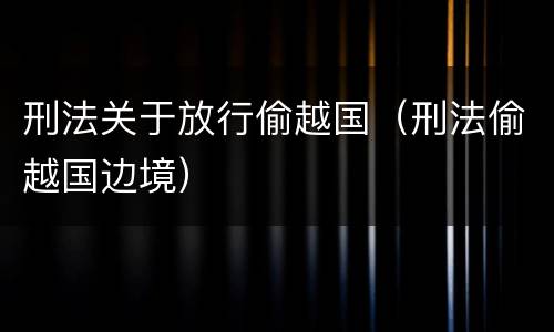 刑法关于放行偷越国（刑法偷越国边境）